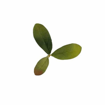 Novritsch Leaf Camo LC2 Tarnblätter Azalea Emerald