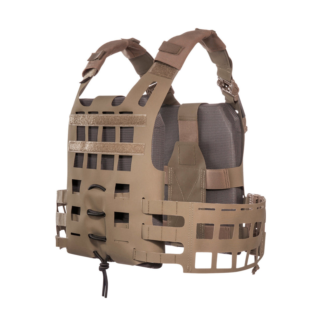 Tasmanian Tiger Plate Carrier QR SK Anfibia MKII coyote