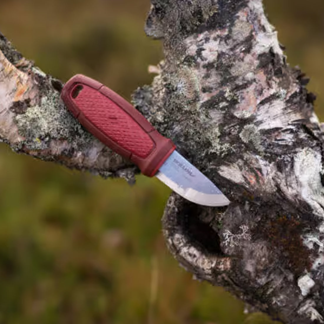 Morakniv Eldris outdoor knife red